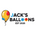 Translation missing: en.Jack’s Balloons accessibility.home